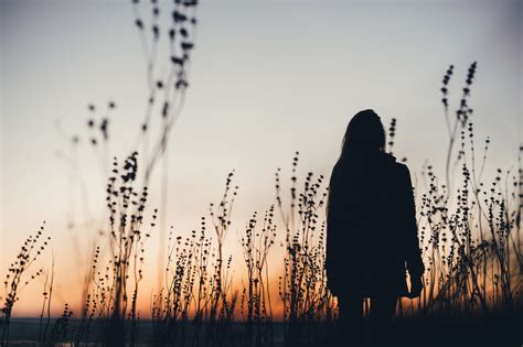 Nėščios moters siluetas su kalendoriumi