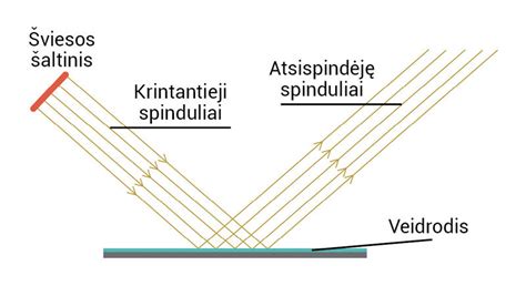 Veidrodžio atspindys, simbolizuojantis skirtingas interpretacijas