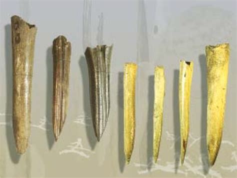 Archeologiniai radiniai iš neolito laikotarpio