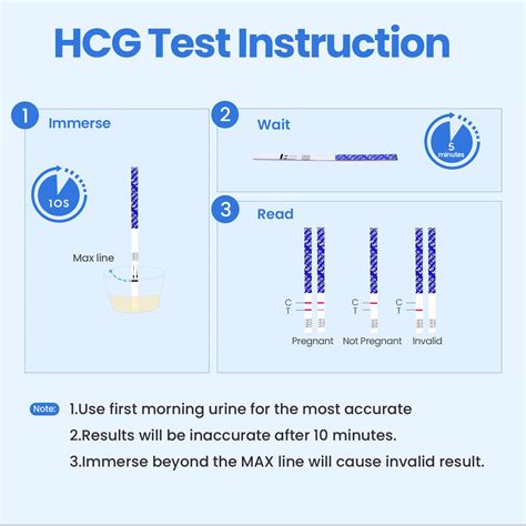 schematic representation of a pregnancy test strip reacting with hCG