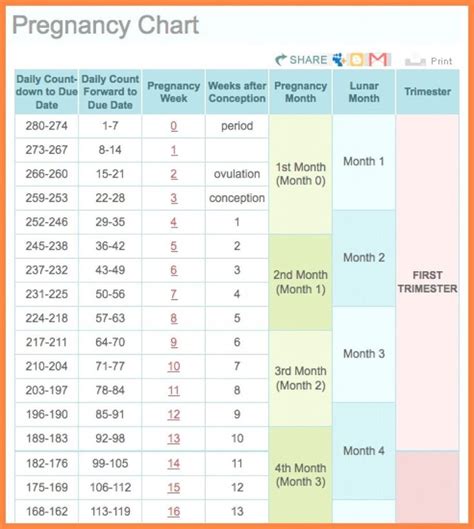 calendar showing optimal days for pregnancy testing