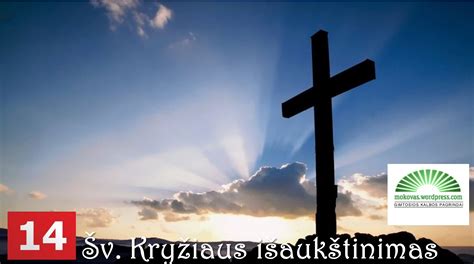 Simbolinė nuotrauka, vaizduojanti augantį daigą