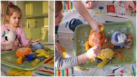 STEAM veiklos lopšelyje-darželyje „Eglutė“