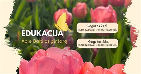 Edukacija „Gintaro pasaulyje“