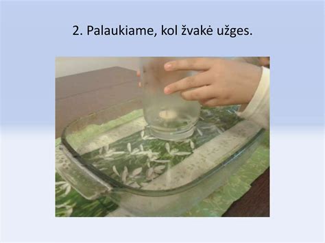 vaikai darželyje atlieka eksperimentus su vandeniu