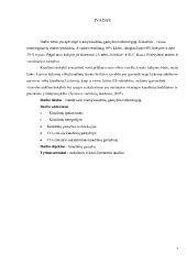 Kiaušinio trynio ir baltymo sandara