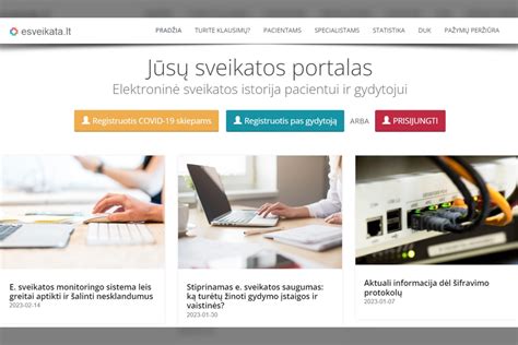 e.sveikatos sistema schematine