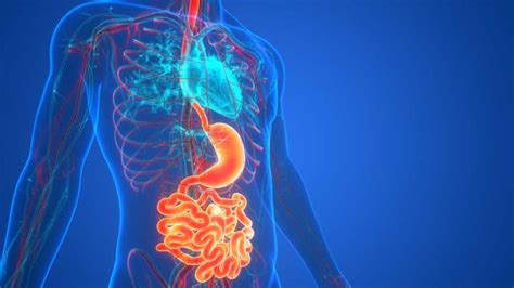 Žarnyno infekcijos simptomai