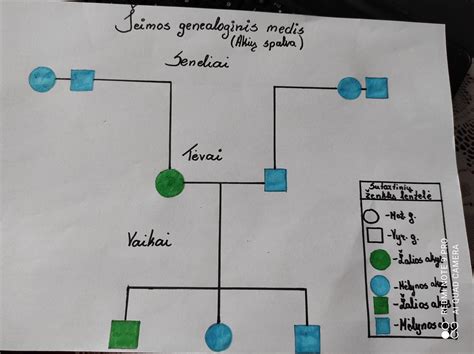 Simbolis, vaizduojantis šeimos medį
