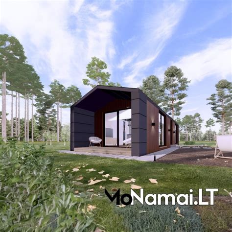 Gyvenamasis namas su sodu