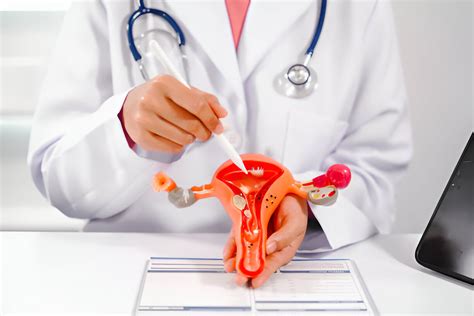 Moters figūra su nėštumo pilvuku ir šlapimo pūslės schema