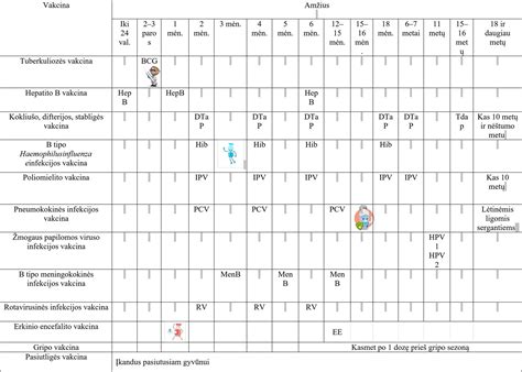 Vaiko regėjimo vystymosi schema