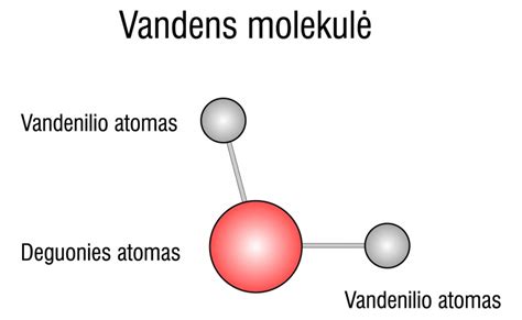 Albuminas kaip transporto molekulė