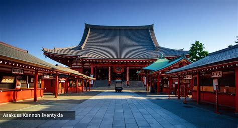 Senovinės šventyklos griuvėsiai džiunglėse