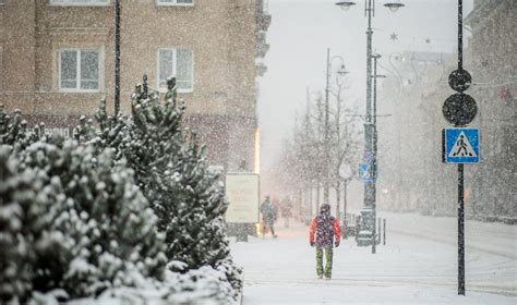 Žiemos pūga Lietuvoje