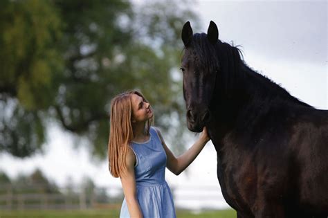 Arklys jojantis per laukus