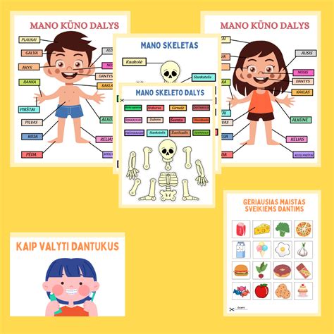 Iliustracija su arkliuko kūno dalimis