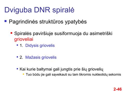 Žmogaus DNR spiralė ir plaukų struktūra