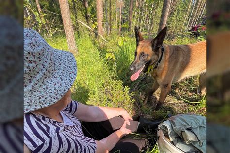 šuo policininkas su išmaniąja liemene