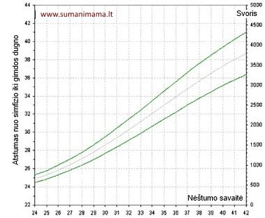 Gimdos dugno aukščio matavimas