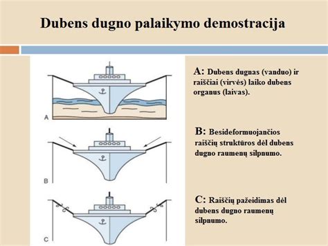Scheminė iliustracija, vaizduojanti gimdą ir aplinkinius dubens organus, su pažymėtomis tipinėmis endometriozės židinių vietomis.