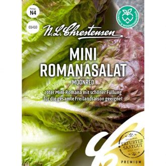 Romėniškos salotos dubenyje su padažu