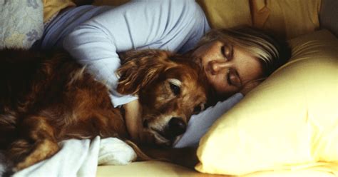 šeima su šunimis ir katėmis