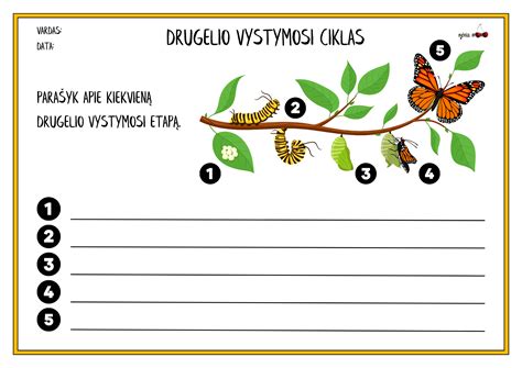 Kūdikio regėjimo vystymosi etapai