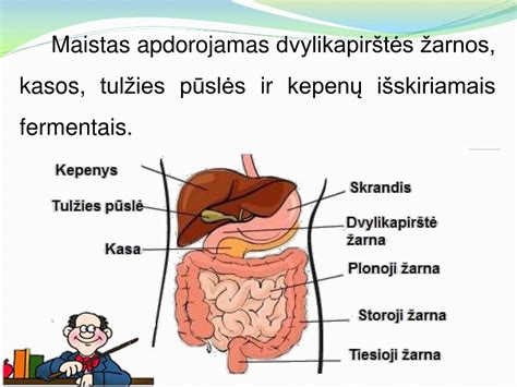 skrandžio ir žarnų judrumas