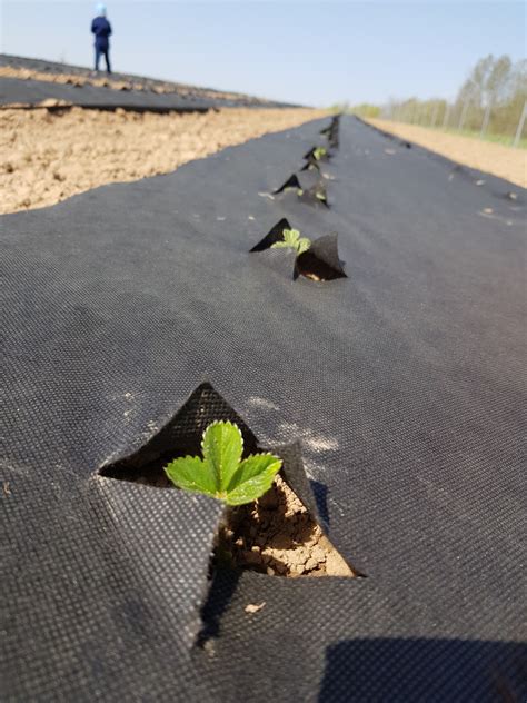 žmogaus figūrėlės ant skirtingo dydžio ir spalvos dėžučių, simbolizuojančios skirtingą prieinamumą