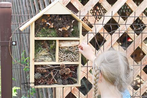 vaikas kuria vabzdžių viešbutį