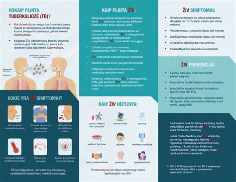 infografika apie TB plitima