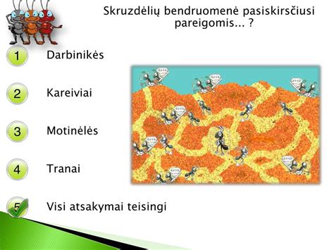 Skruzdėlių darbininkės
