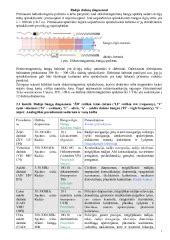 Ultragarsinių bangų sklidimas objekte