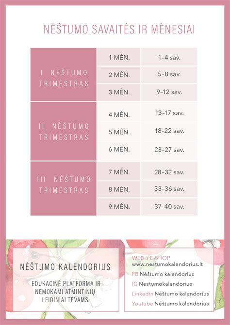 Nėštumo savaitės ir vaistų saugumas