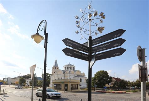 Geltonosios rodyklės Camino kelyje