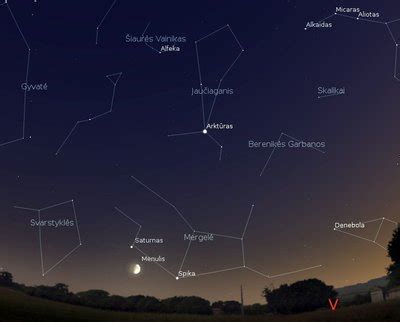 Žvaigždynas Šienpjoviai