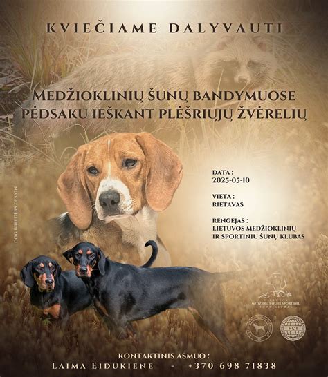 Šunų reprodukcinė sistema