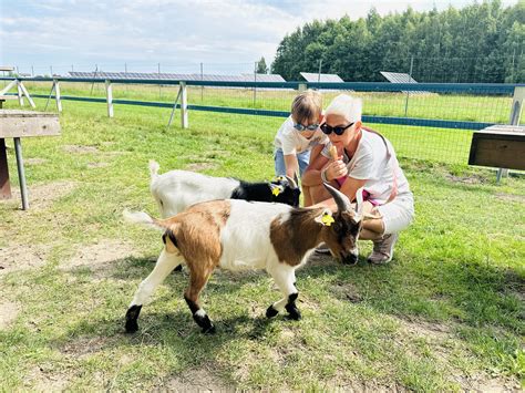 Gyvūnų ūkis su vaikais