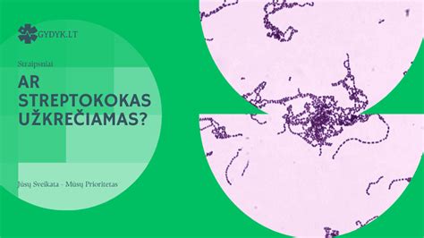 B grupės streptokoko bakterijos