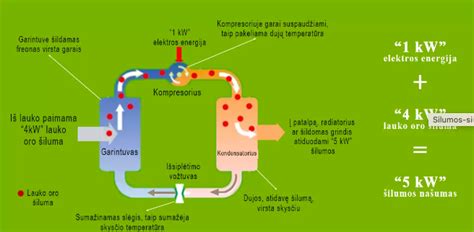Schema: Kaip vanduo veikia gimdymo procesą